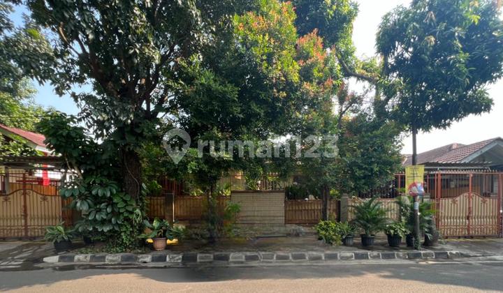 Dijual Rumah Elegan 1 Lantai, LT 500m², Hadap Tenggara, Siap Huni di BSD City 1