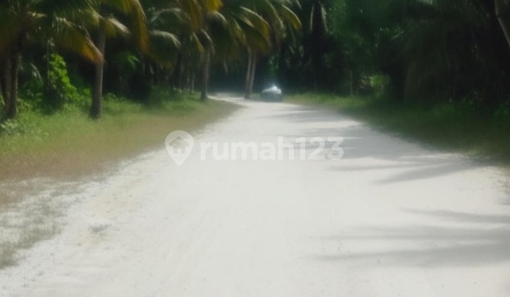 Dijual Tanah 2 Hektar Shm Di Jalan Seroja, Tenayan Raya - Harga 150 Ribu/m²