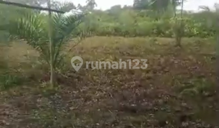 Land for Sale, Build-Ready 15x30 - Affordable Price! Land for Sale, Build-Ready 15x30 - Affordable Price!