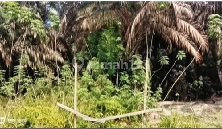 Tanah 2.181 M² Di Jl Lintas Timur - Lokasi Strategis Dekat Spbu