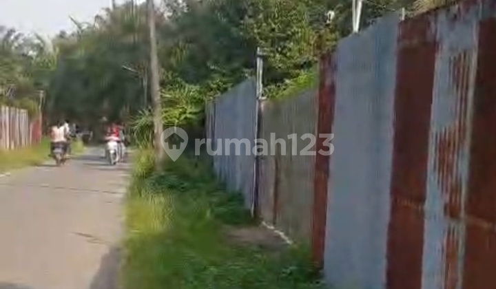 Tanah Luas 9.700 M² Di Deli Serdang - Bonus Rumah & Durian Produksi