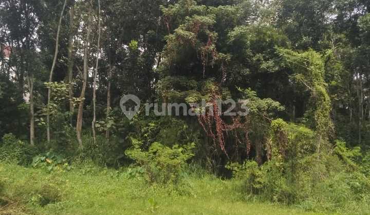 Dijual Tanah Wagir Malang, 3.405 M² Murah