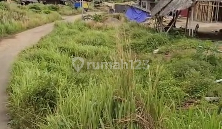 Jual Tanah di Jalur Cilegon Jual Tanah di Jalur Cilegon