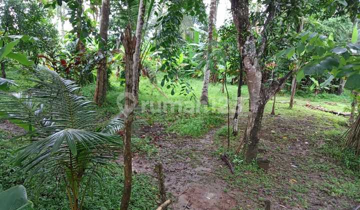 Jual Lahan Tanah di Cinangka Anyer