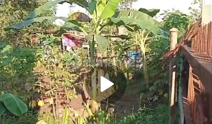 For Sale Land Near Untirta Pakupata