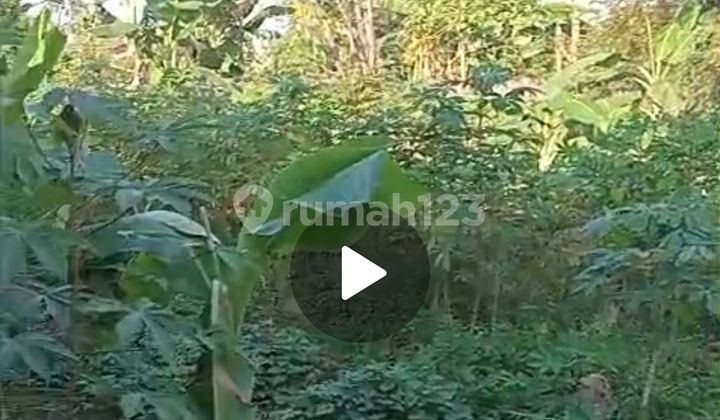 For Sale Land Near Untirta Pakupata