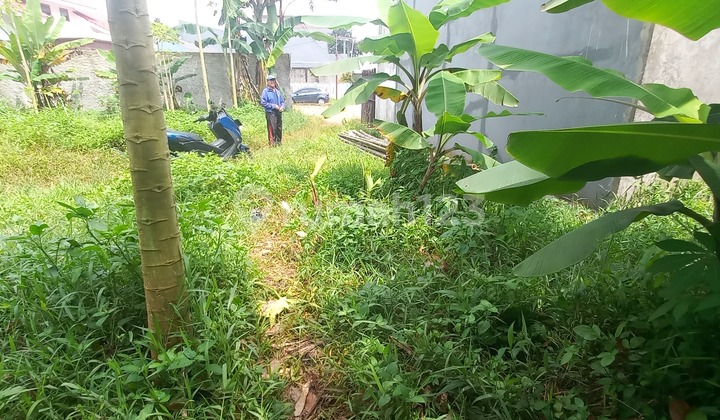 Tanah Dijual. Nempel ke Gdc (Grand Depok City). Cocok Utk Rumah Tinggal atau Cluster Kecil/Rumah Kontrakan Tanah SHM
