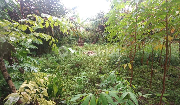 Dijual Tanah Kavling, Cocok Buat Rumah Pribadi atau Kontrakan SHM 708M2 Tanah di Cibinong