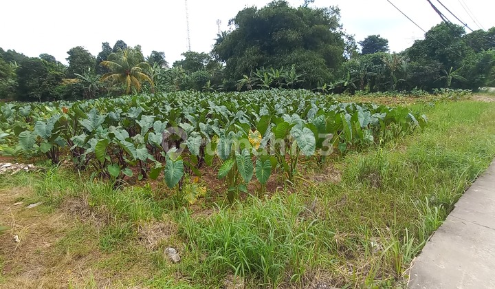 Tanah Strategis, Persis di Pinggir Jalan 6 Meter Tanah Strategis, Persis di Pinggir Jalan 6 Meter