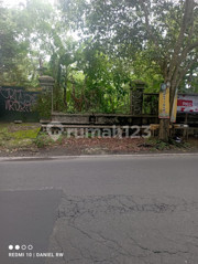 SHM Land 2265 Square Meters Strategic Location on Tajem Road, Ngemplak, Sleman
