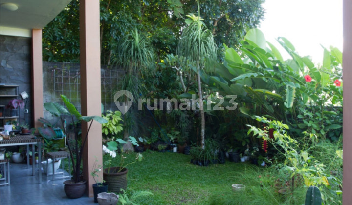 Rumah tinggal 709 m Pandega Marga,area pendidikan& bisnis Sleman 2