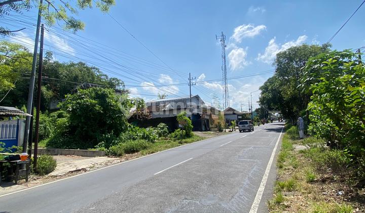 CHEAP LAND ON JEMBER - BONDOWOSO ROAD CHEAP LAND ON JEMBER - BONDOWOSO ROAD