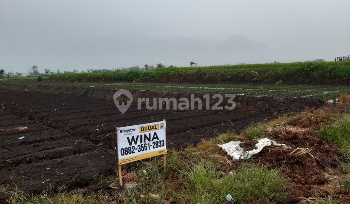 Tanah Murah Premium Dekat Kampus Besar Di Malang Shm 6989m2 Tanah Murah Premium Dekat Kampus Besar Di Malang Shm 6989m2