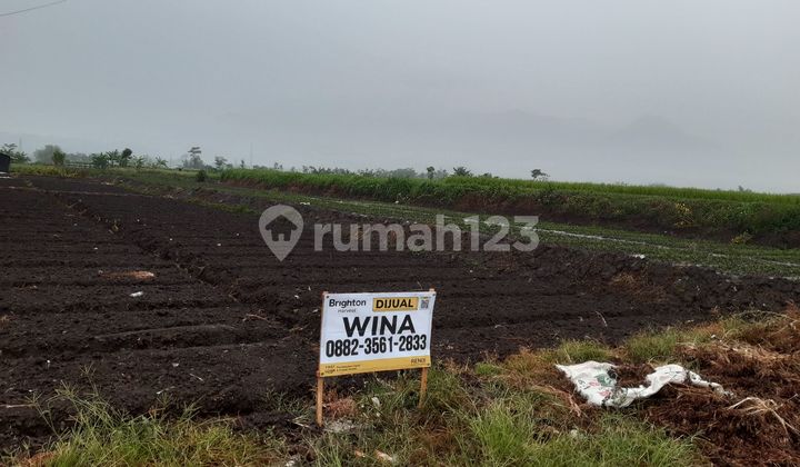 Tanah Murah Premium Dekat Kampus Besar Di Malang Shm 6989m2 Tanah Murah Premium Dekat Kampus Besar Di Malang Shm 6989m2