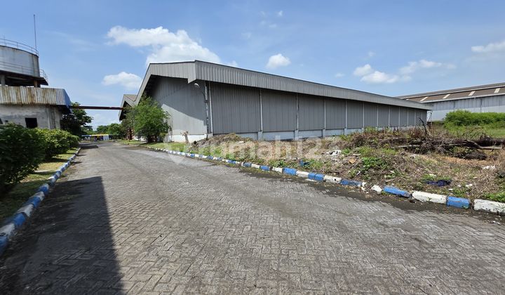 For Sale Ex-Famous Factory in Gresik Industrial Area For Sale Ex-Famous Factory in Gresik Industrial Area