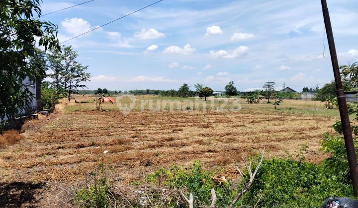 Land Ready to Build Suitable for Business in Kedungrukem, Gresik Land Ready to Build Suitable for Business in Kedungrukem, Gresik