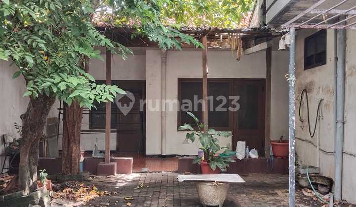 Rumah, 1 Lantai Jemursari Minimalis Siap Huni Bebas Banjir Rumah, 1 Lantai Jemursari Minimalis Siap Huni Bebas Banjir