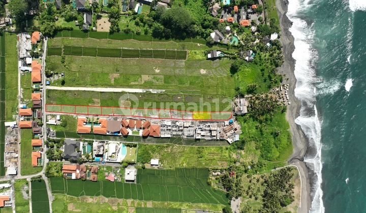 Kavling 270 m² di Seseh - Zona Kuning, Dekat Pantai
