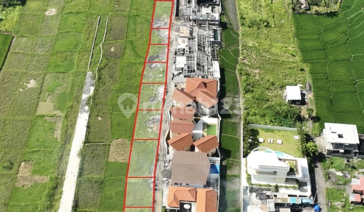 Kavling Tepi Pantai 366 m² di Seseh - Zonasi Pariwisata