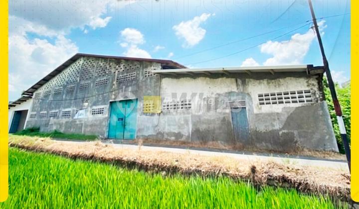 Warehouse for Sale, Ready for Business in Solo Baru, Bulakrejo.