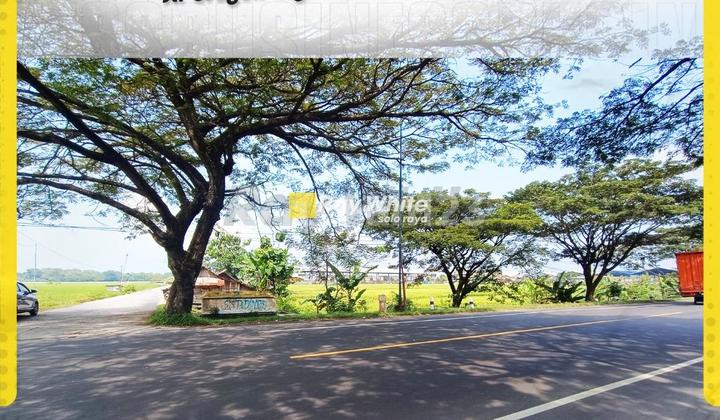 For Sale: Industrial Land in Industrial Zone, Main Road, Container Access, Sragen-Ngawi For Sale: Industrial Land in Industrial Zone, Main Road, Container Access, Sragen-Ngawi