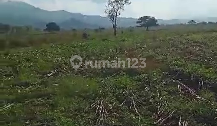 Tanah Luas Cuma 25 Ribu Rupiah Per Meter