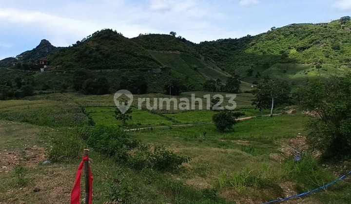 For Sale 28 Are Land In Selong Belanak - Central Lombok For Sale 28 Are Land In Selong Belanak - Central Lombok