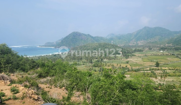 For Sale A Land In Selong Belanak - Central Lombok For Sale A Land In Selong Belanak - Central Lombok