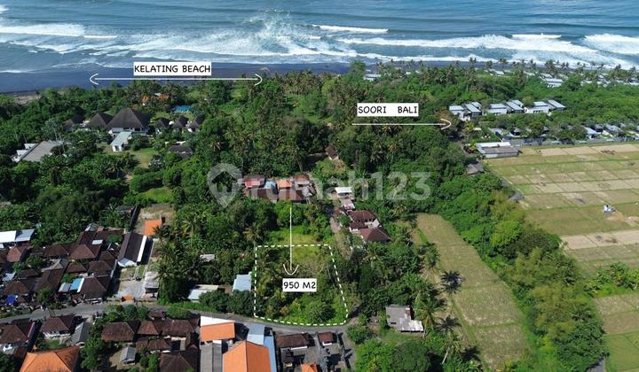 950 Sqm Land for Investment in Kelating, Tabanan 950 Sqm Land for Investment in Kelating, Tabanan