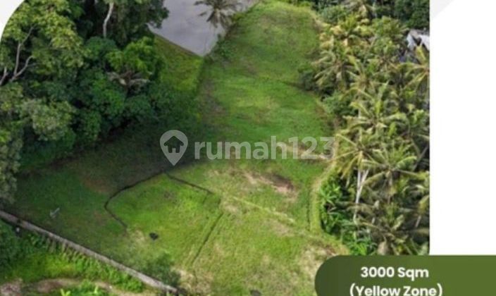 Land in Ubud Surrounded by Rice Fields an Très. [Leasehold]