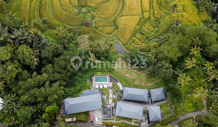 Japanese Style Boutique Hotel In Sebatu/Tegalalang 2