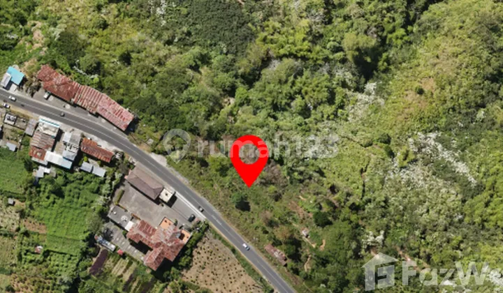 Kintamani Freehold Land 54 Are For Sale Kintamani Freehold Land 54 Are For Sale