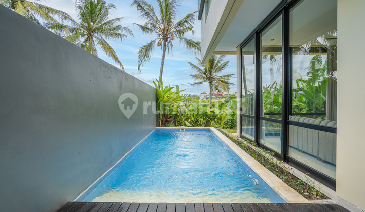 Ubud 2 Bedroom Villa For Rent with Rice Field View