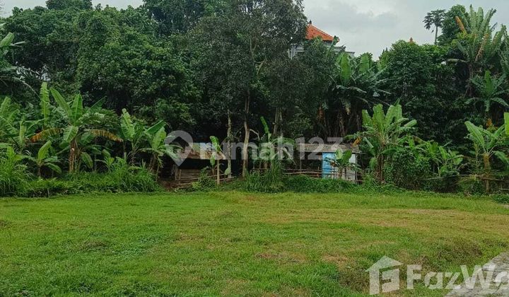 For Sale Large Plot of Land In Kediri, Tabanan