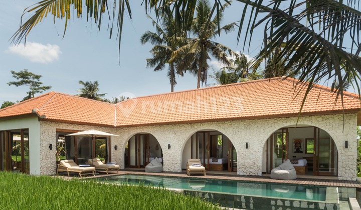 3 Bedrooms for Sale in Ubud 3 Bedrooms for Sale in Ubud