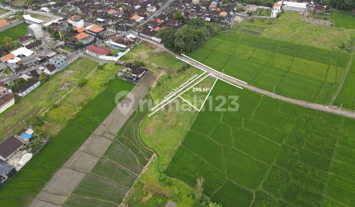 Freehold Land Plots in Kedungu - 5 Minutes to the Beach