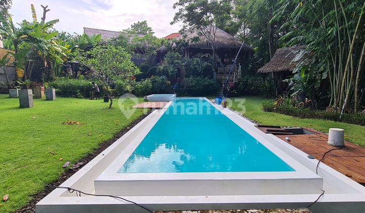 20-are Land Plot. Jungle atmosphere in Canggu. [Leasehold]
