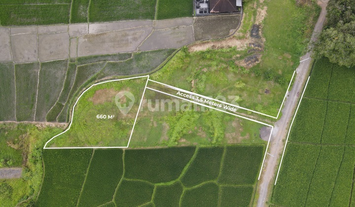 Leasehold Land Plots in Kedungu - 5 Minutes to the Beach