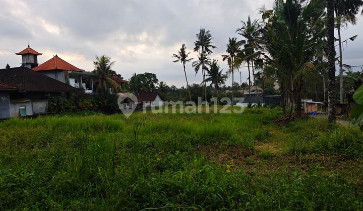 Leasehold 1779 Sqm Land Opportunity in Ubud Leasehold 1779 Sqm Land Opportunity in Ubud