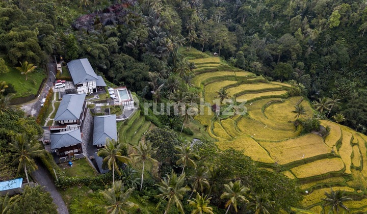 Japanese Style Boutique Hotel In Sebatu/Tegalalang Japanese Style Boutique Hotel In Sebatu/Tegalalang