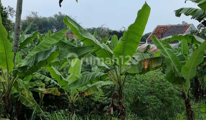 TANAH di SEKEHONJE UJUNGBERUNG