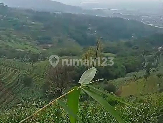 Tanah Kebun di Parakan Muncang, Cicalengka Tanah Kebun di Parakan Muncang, Cicalengka