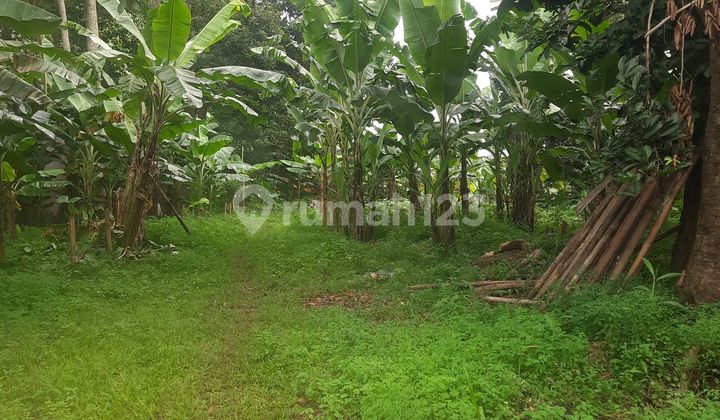 Tanah 6.000 M² Main Road Jatisampurna, Strategis, Dekat Cibubur Tanah 6.000 M² Main Road Jatisampurna, Strategis, Dekat Cibubur