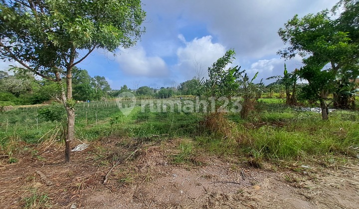 Tanah 2 Hektar Peruntukan Industri di Sei Binti Sagulung