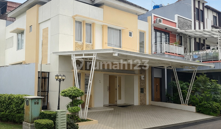 The Icon Simplicity Bsd