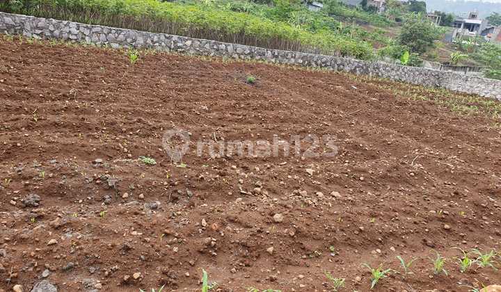 Land in Upper Semarang 2