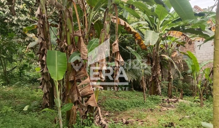 Land Area 1,091 m² in Anyer - Strategic Location Near Tourist Area