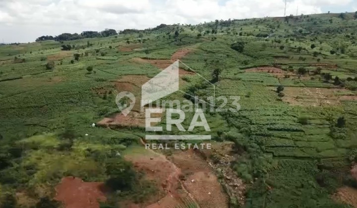 Tanah Super Strategis 12 Ha di Sentul - Dekat Palm Hill Golf & The Leroy Sequoia Hills