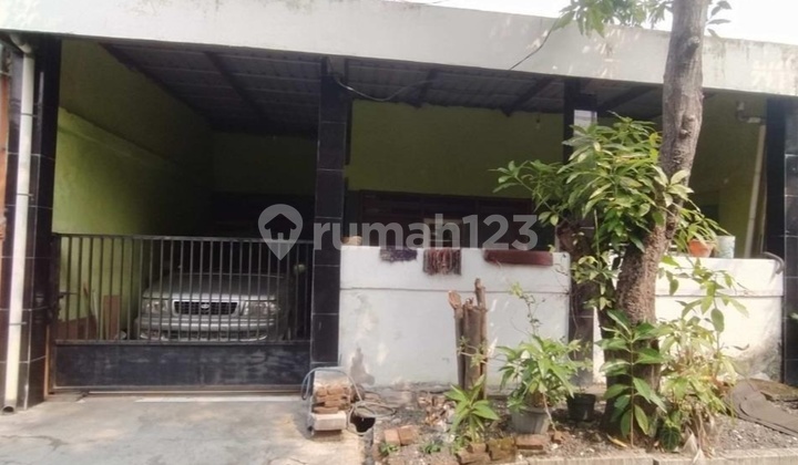 Super Cheap Rosan Cottage House - Wiyung, West Surabaya