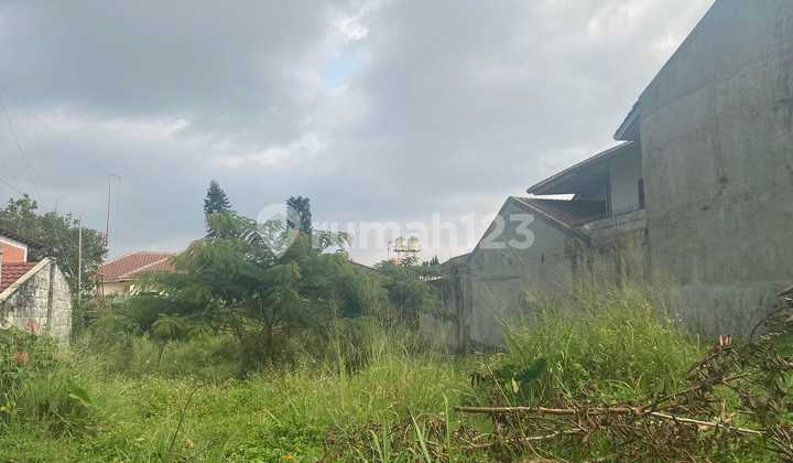 Kavling Mainroad Setraria, Sayap Setrasari